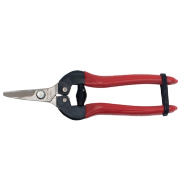 Aednikukäärid Bigstar